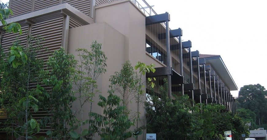 بوتانیک گاردن سنگاپور