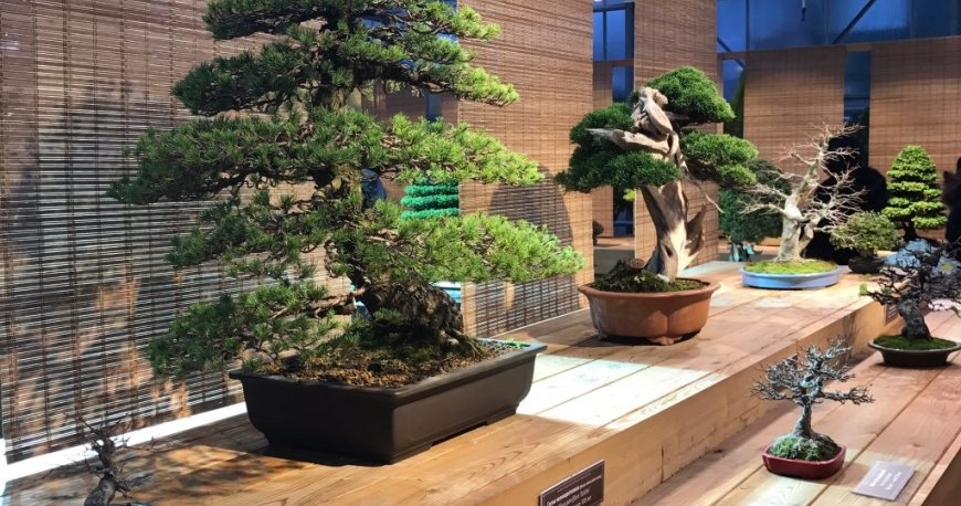 باغ گیاهشناسی اپتکارسکی مسکو