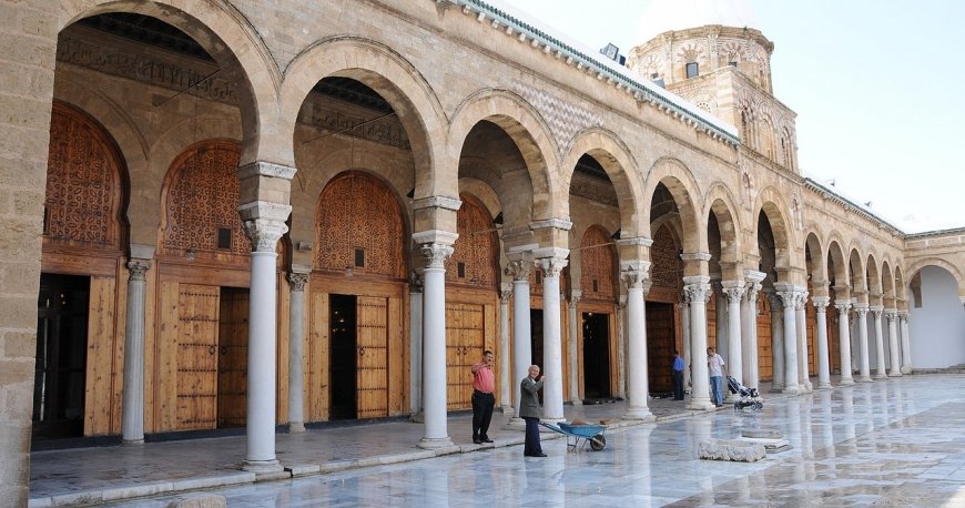 محله مدینه تونس