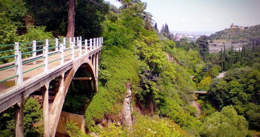باغ ملی گیاهشناسی تفلیس