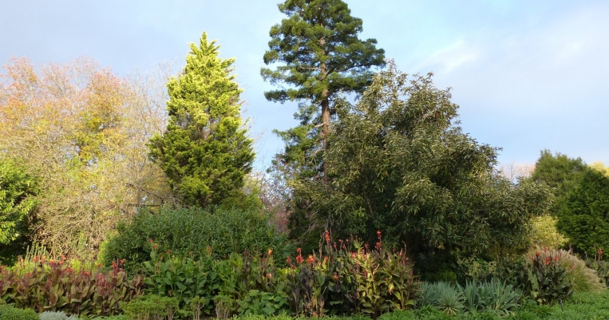 باغ گیاه شناسی سلطنتی ویکتوریا ملبورن