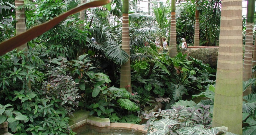 باغ گیاهشناسی گوتنبرگ