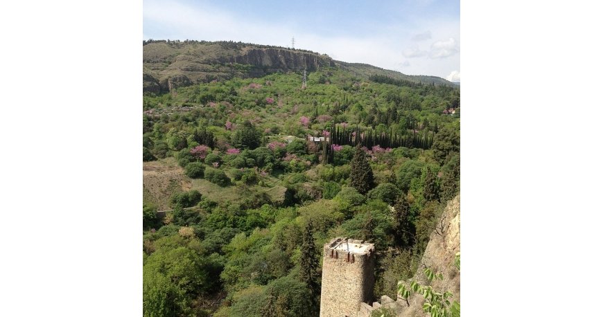 باغ ملی گیاهشناسی تفلیس