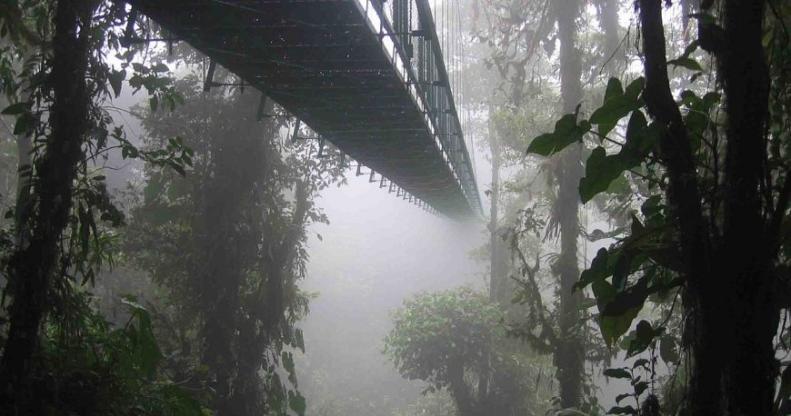جنگل ابر سنگاپور