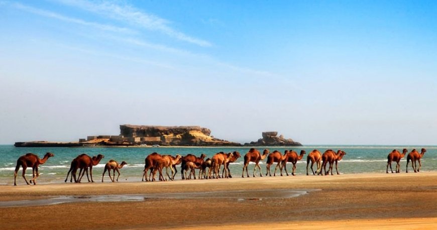 جزایر ناز