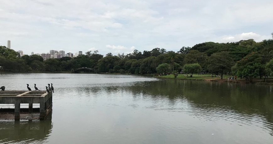 پارک ایبریپورا سائوپائولو