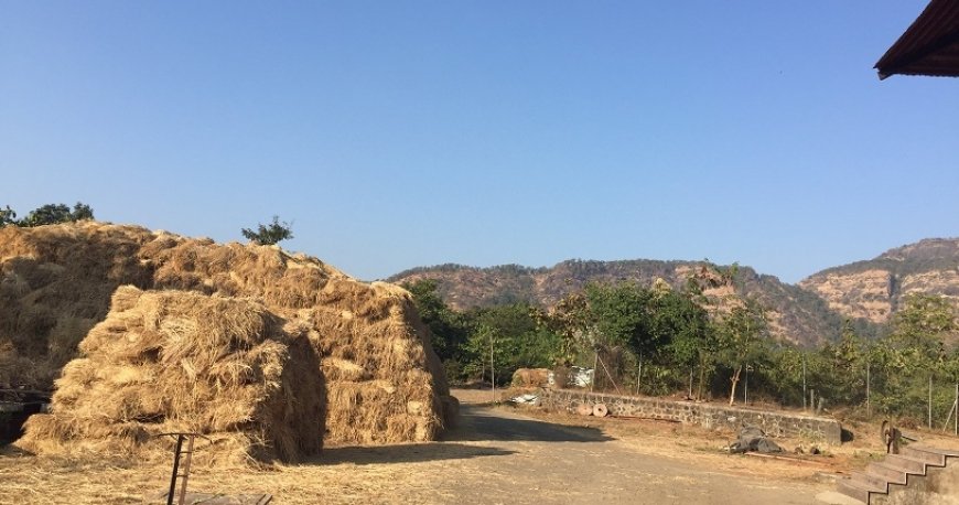روستای گواردهان