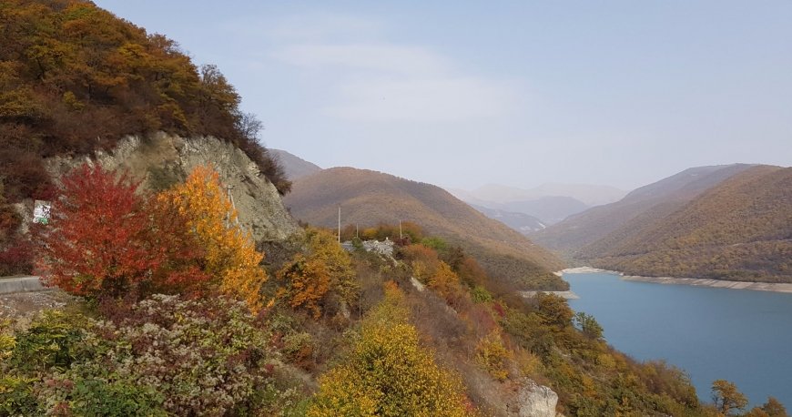 جینوالی تفلیس