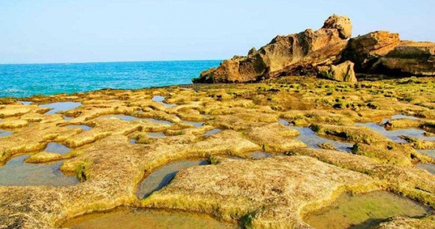 جزایر ناز