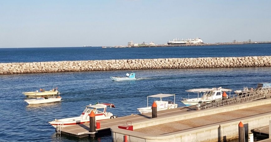 ساحل الکوت کویت