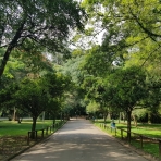 پارک ایبریپورا