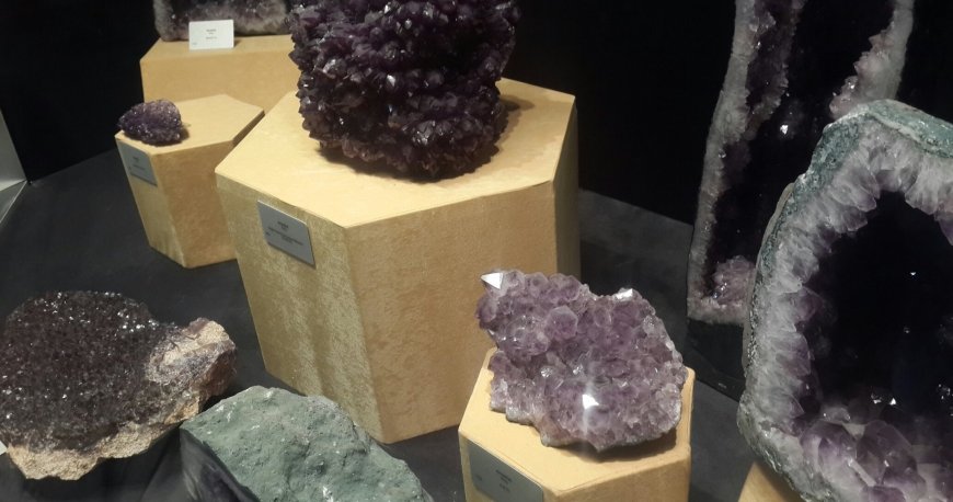 موزه تاریخ طبیعی آنکارا