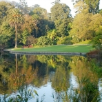 باغ گیاه شناسی سلطنتی ویکتوریا