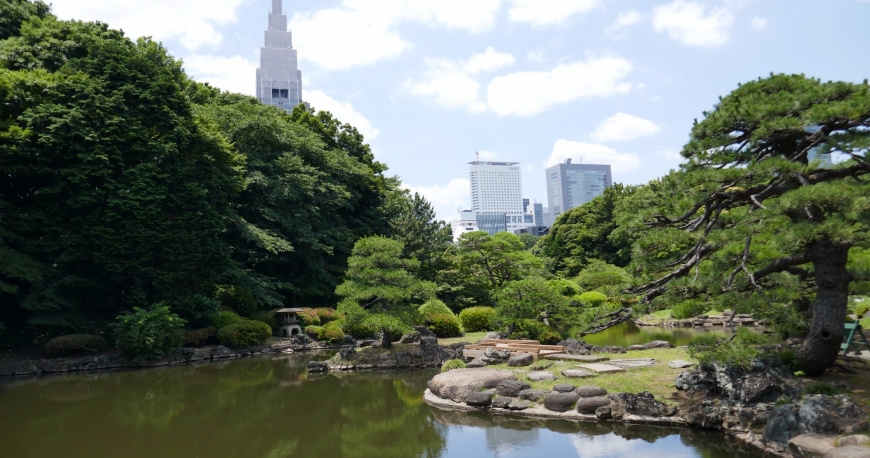 پارک شینجوکو گیوئن توکیو