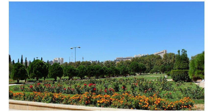 باغ ارم