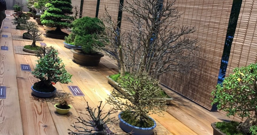 باغ گیاهشناسی اپتکارسکی مسکو