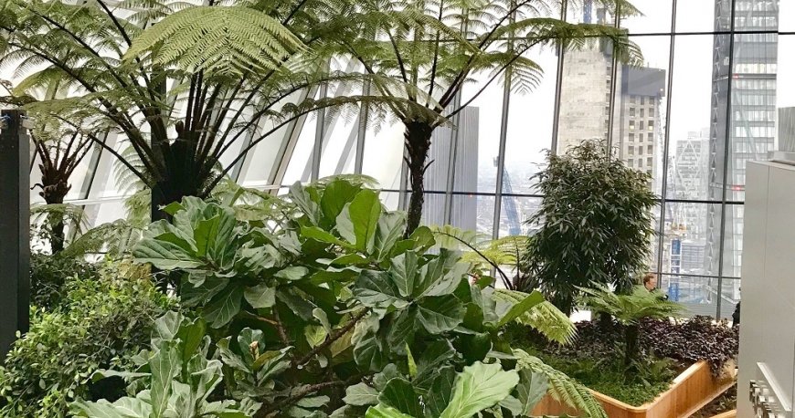 اسکای گاردن لندن
