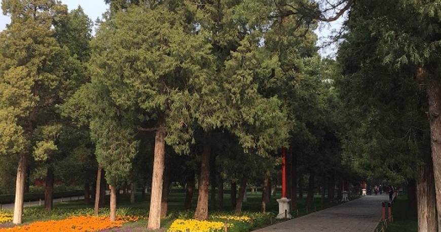پارک جینگ شان پکن