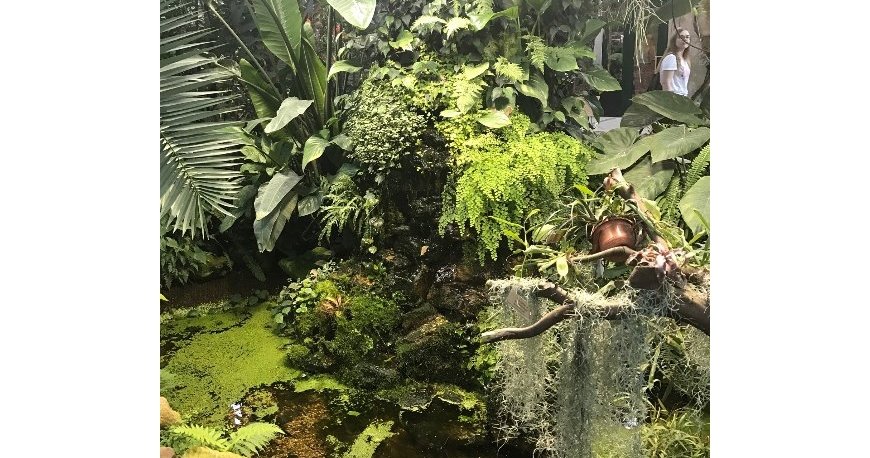 باغ گیاهشناسی اپتکارسکی مسکو