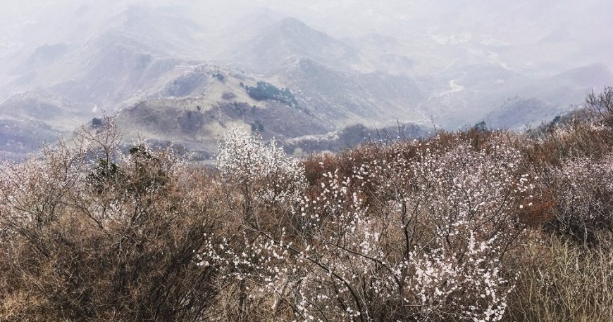 دیوار بزرگ چین (بخش جیانکو)