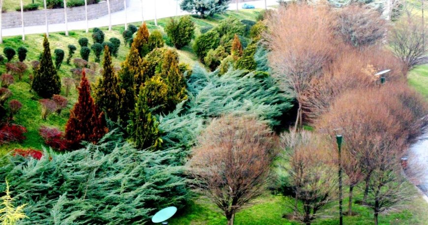 پارک دیکمن وادیسی آنکارا