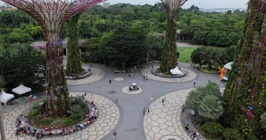 درختان غول پیکر سنگاپور