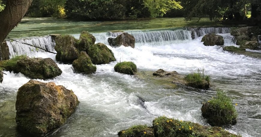 باغ انگلیسی مونیخ