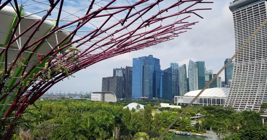 درختان غول پیکر سنگاپور
