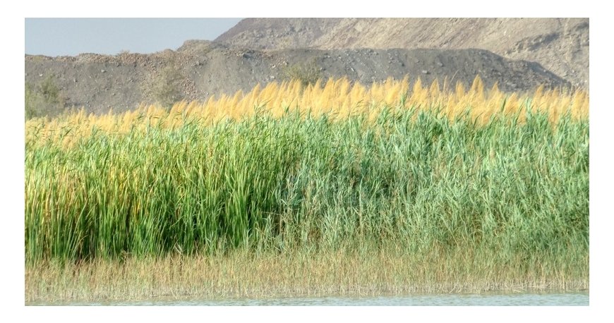 رودخانه باهوکلات