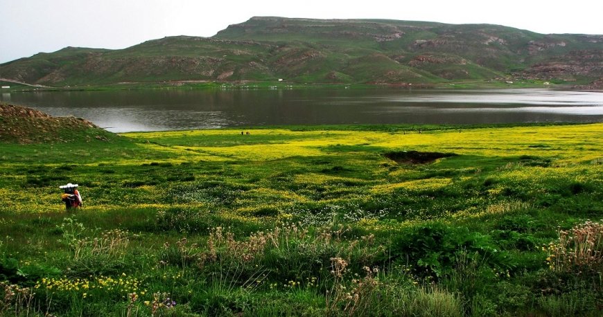 اردبیل