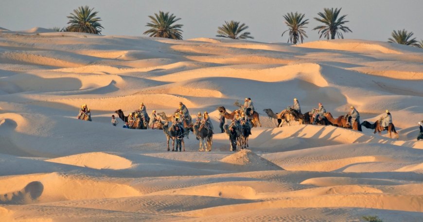 تونس