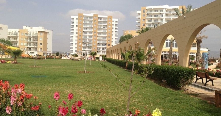 تریکومو