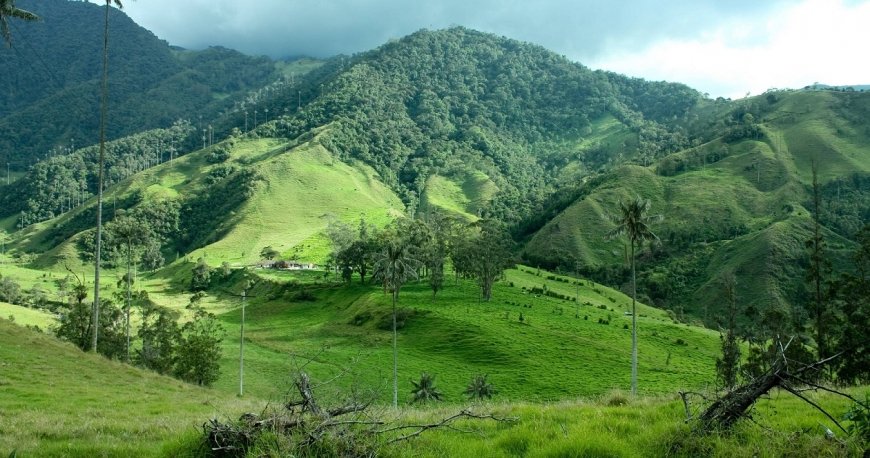 کلمبیا