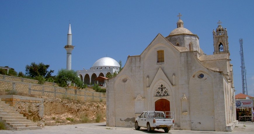 ریزوکارپاسو