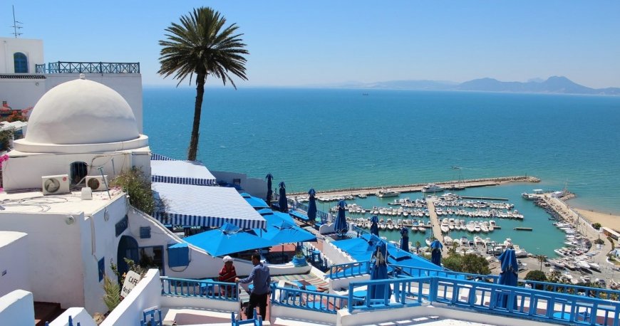 تونس