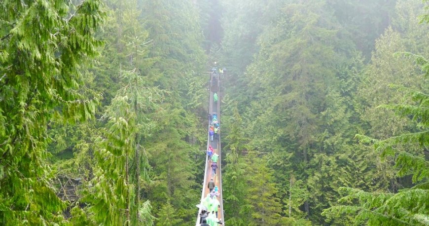 ونکوور