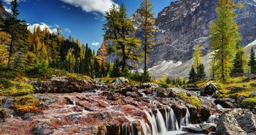 ونکوور