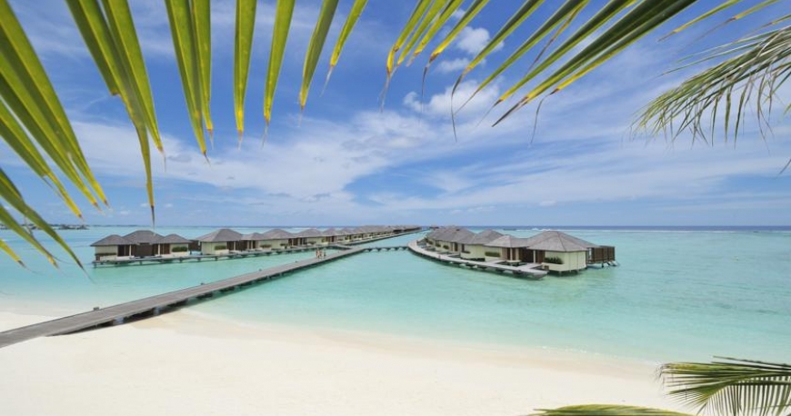 ساحل هتل پارادایز آیلند مالدیو