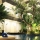 استخر هتل ادن کوتا بالی