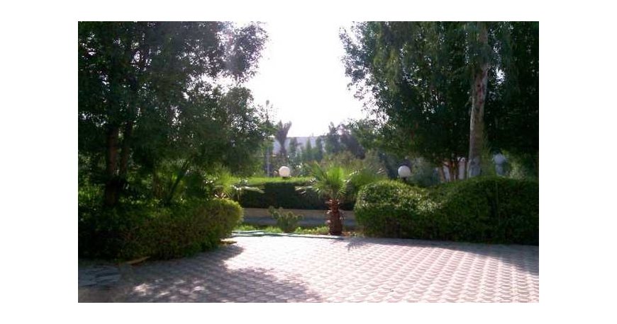 هتل ققنوس کیش