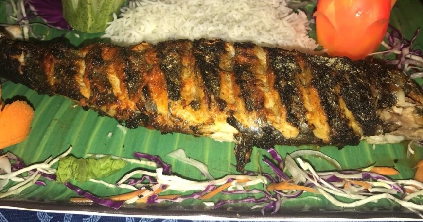 سی بریز